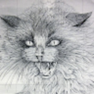 Meet your Posher, Savannah